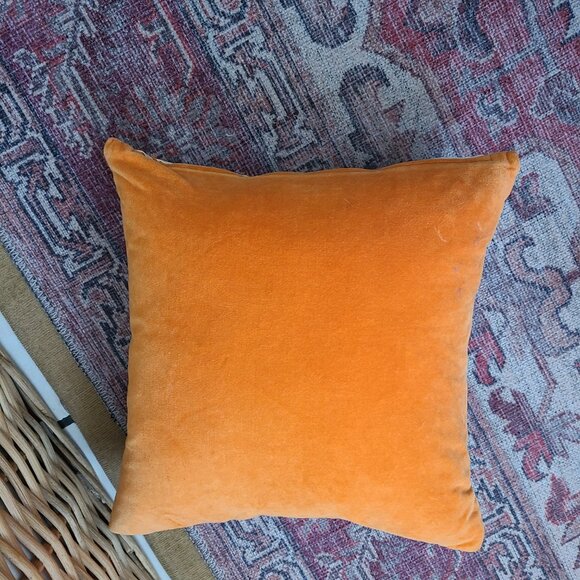 CB2 chicken pillow cover 16"x16" - Picture 3 of 7